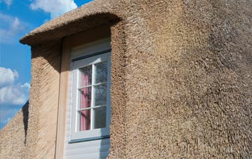 Williamwood thatch roof disadvantages